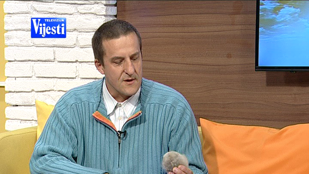 Mr. Boris being interviewed by TV Vijesti.

Copyright: TV Vijesti