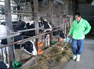 Delicious EM Milk, Less Stress for Cows II