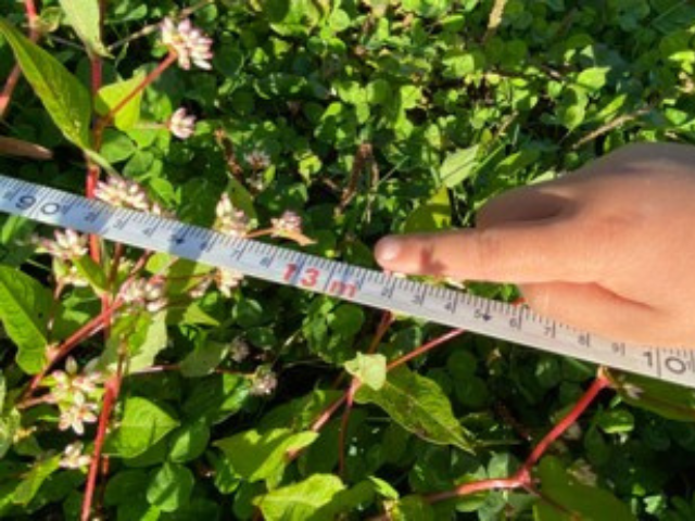 Greenhouse No. 4 (with EM barriers) limited water intrusion to just 13 meters. 