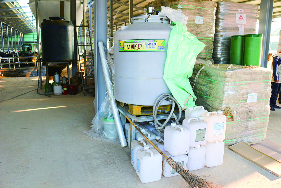 EM is being cultured there.
