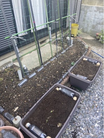 <Before> Soil prepared beside the entrance for planting vegetable seeds and seedlings
