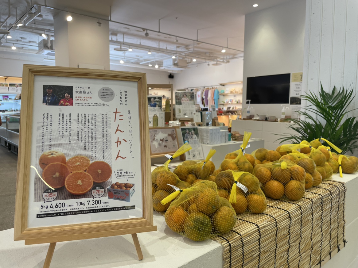 Tankan oranges are on sale at the EM Hotel shop from mid-Jan to Feb.