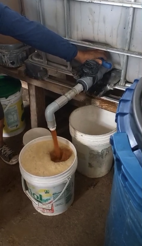 Activated EM・1 for soil and plants