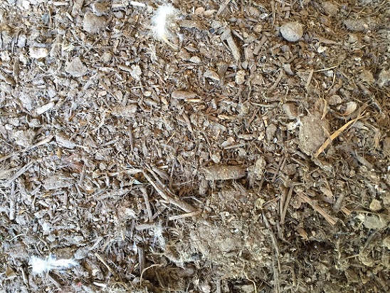 EM Compost made from kitchen waste