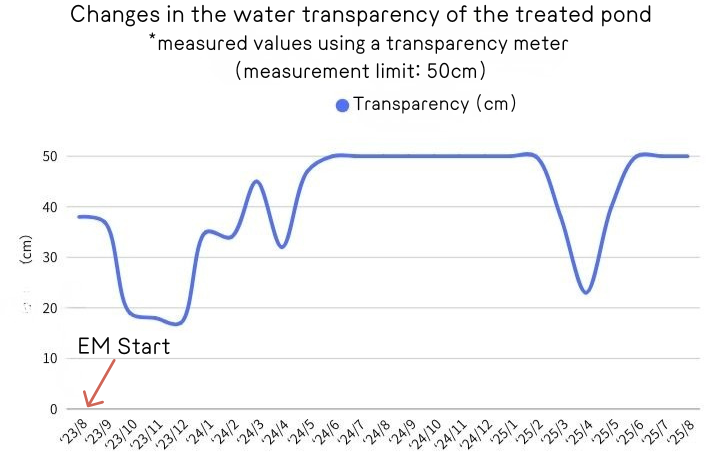 The measurement limit of the transparency meter is 50cm, so the value is shown as 50cm. However, in reality, the water is clear enough that visibility extends beyond this limit.