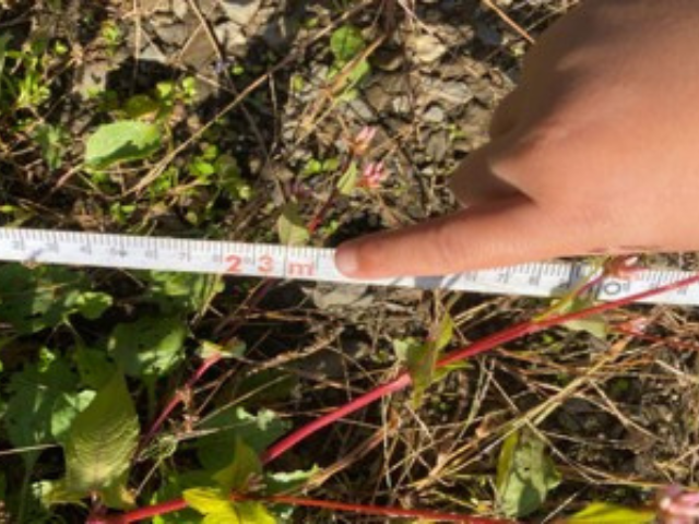 Water infiltrated 23 meters into Greenhouse No. 3 (without EM barriers).