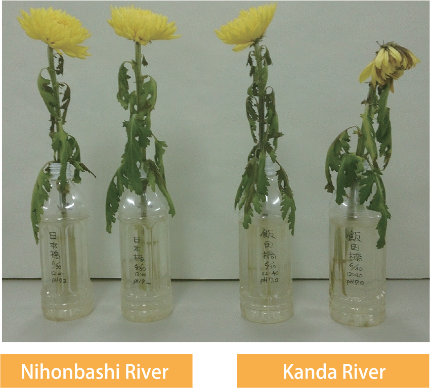 "Draw some water and if it smells bad, then is no good"
"Leave the water for a couple of days, if it smells bad, then is no good"