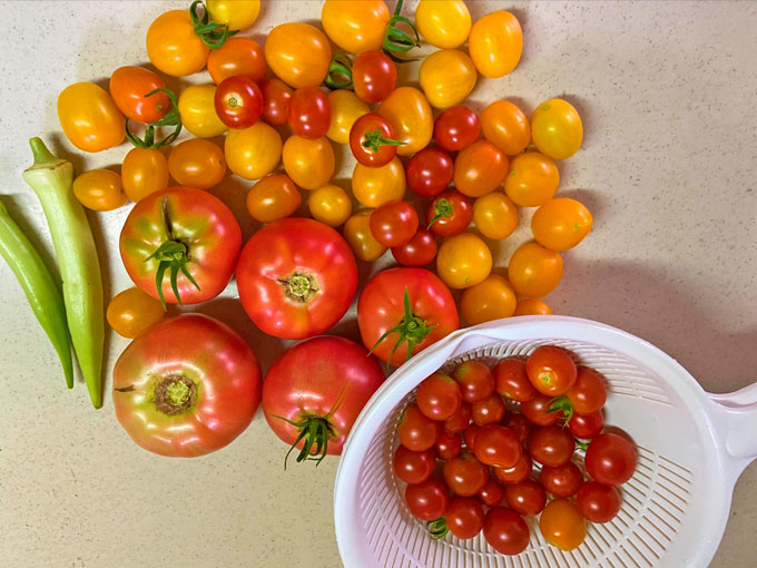 Harvest from planters