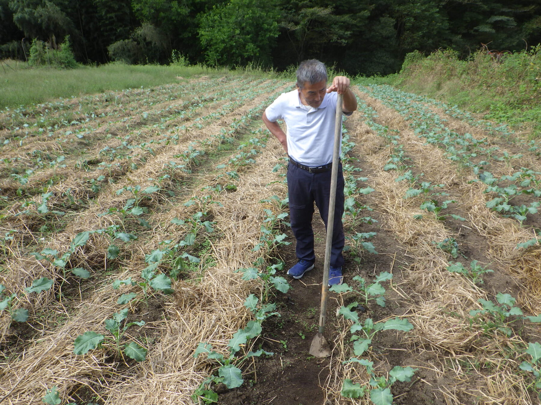 How Senior Farmers Won Japan’s Top Organic Awards