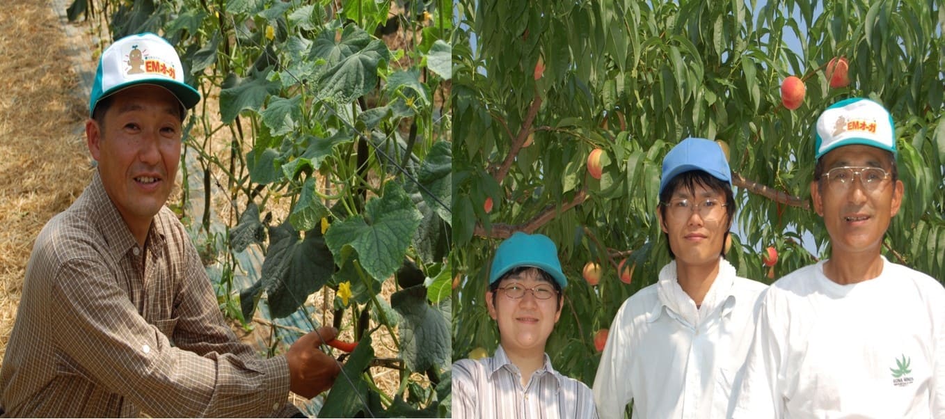 Eco-Friendly Dry Cleaning II