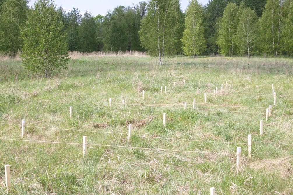 Eco-Friendly Dry Cleaning II