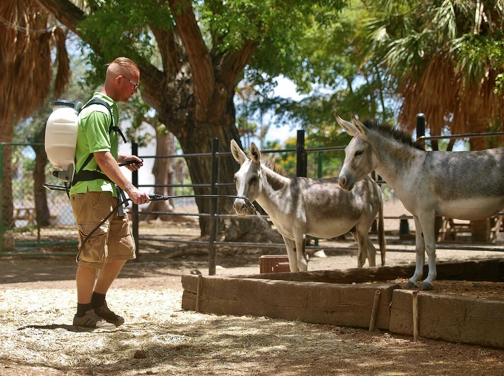 Self Sustainable Zoo
