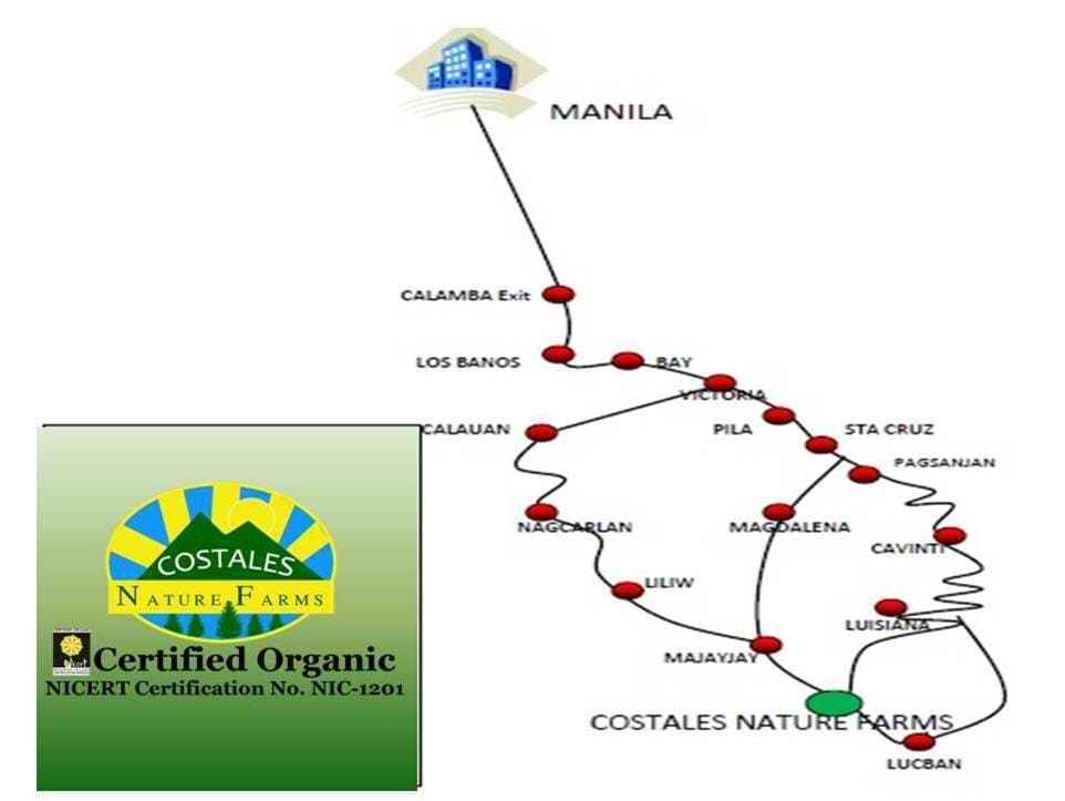 From Healthy Soil to Table: EM Organic Bananas