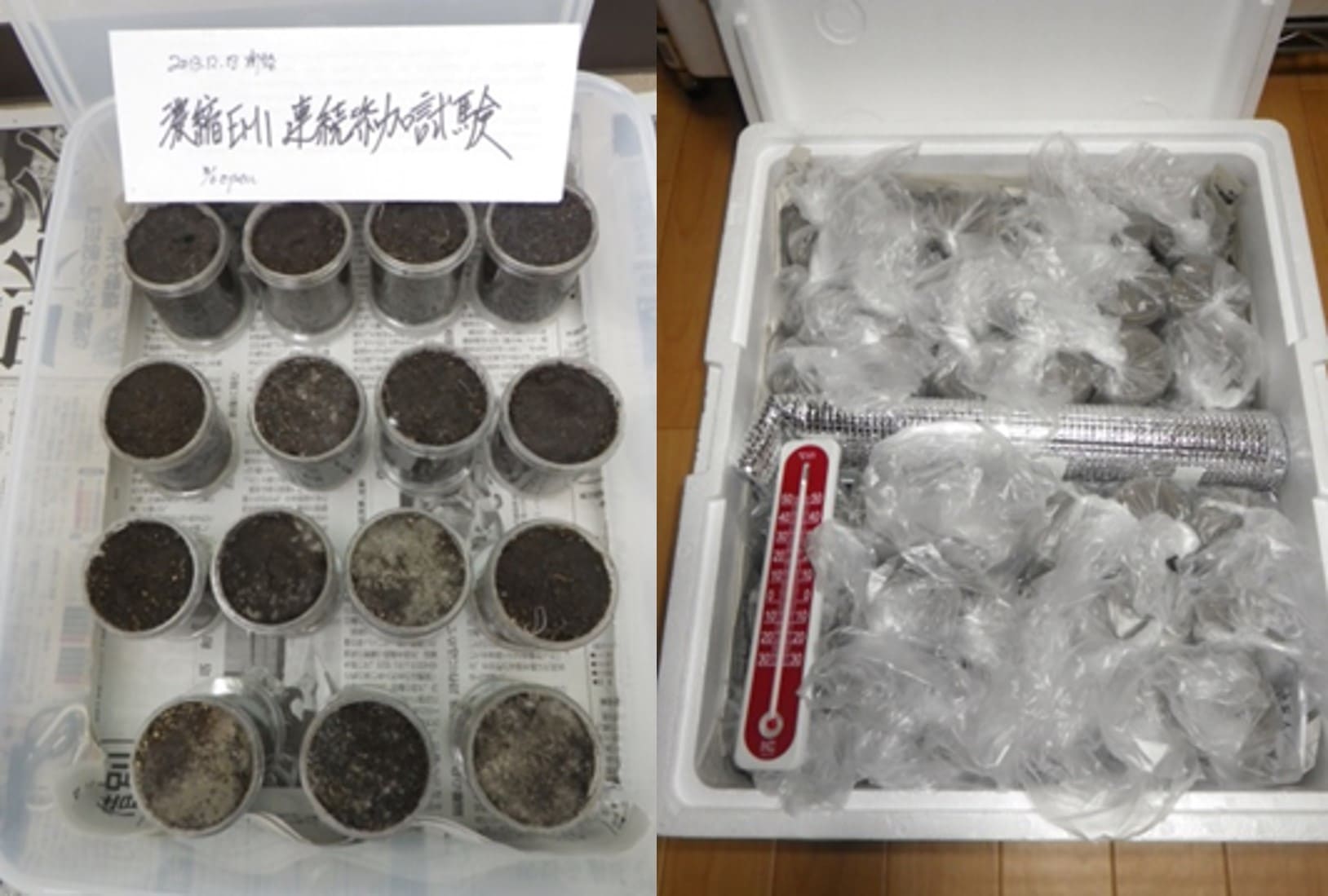 Eco-Friendly Dry Cleaning II