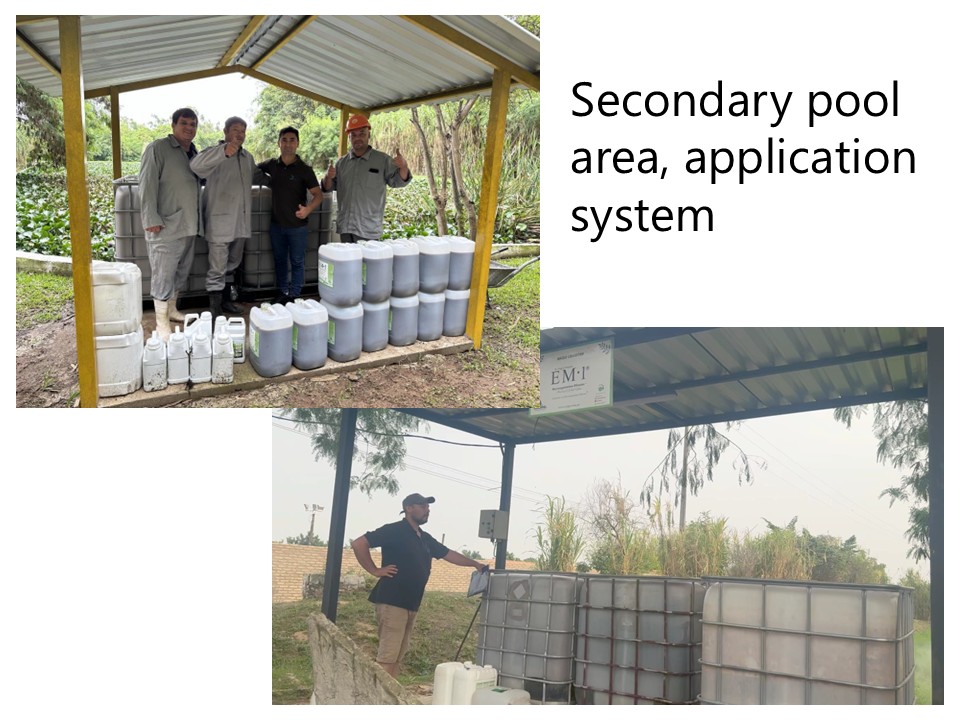 Secondary treatment tank area, treatment facility