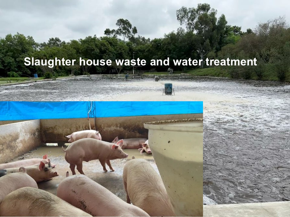 Slaughterhouse waste and water treatment