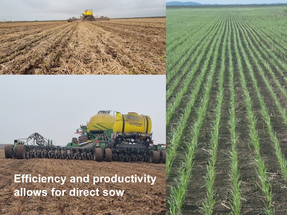 Efficiency and productivity allow for direct seeding