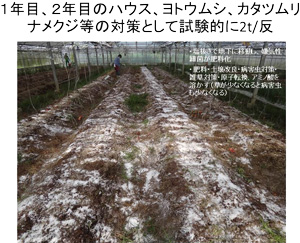 Photo 1.
Spread 2 tons of salt per 1,000 ㎡  