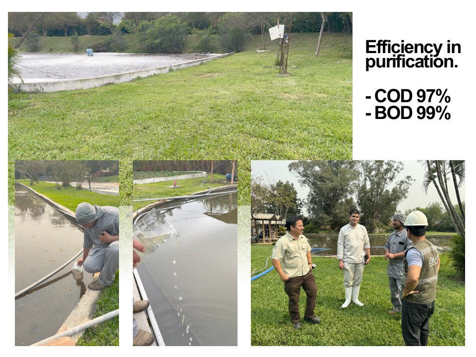 Purification efficiency
-COD 97%   
-BOD 99%