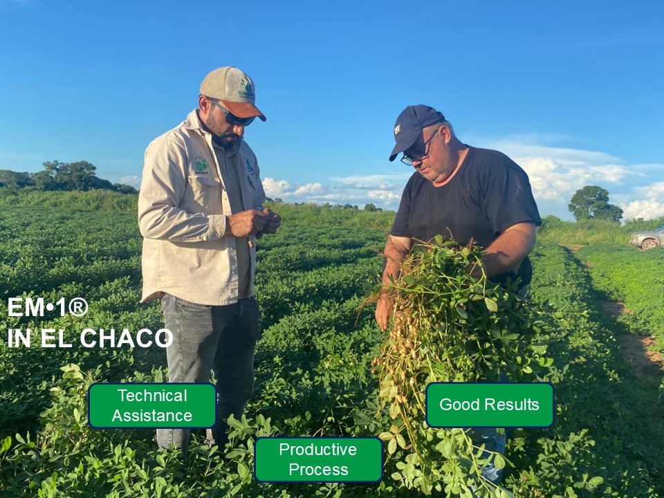 EM・1® in El Chaco
Technical guidancea 
Efficient production
Good results