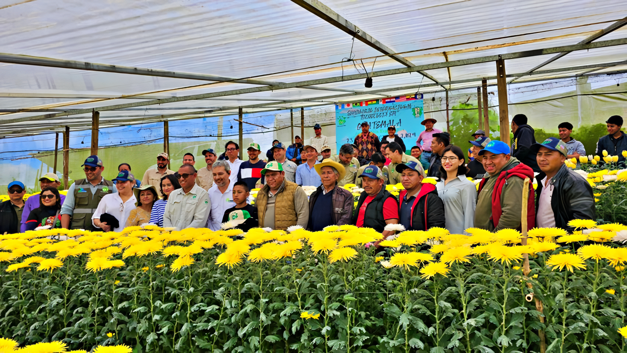 【Case Study】"Reducing Chemicals and Increasing Profits in Flower Cultivation" Updated!