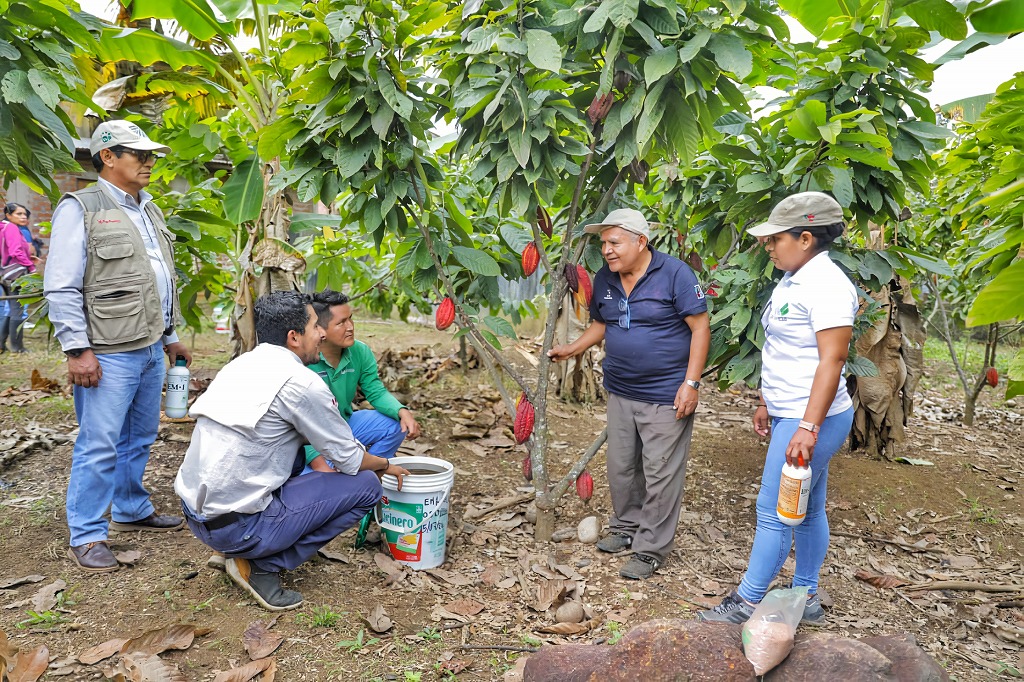 【Case Study】"Regenerative Agriculture Boosts Cacao Yields in the Peruvian Amazon" Updated!