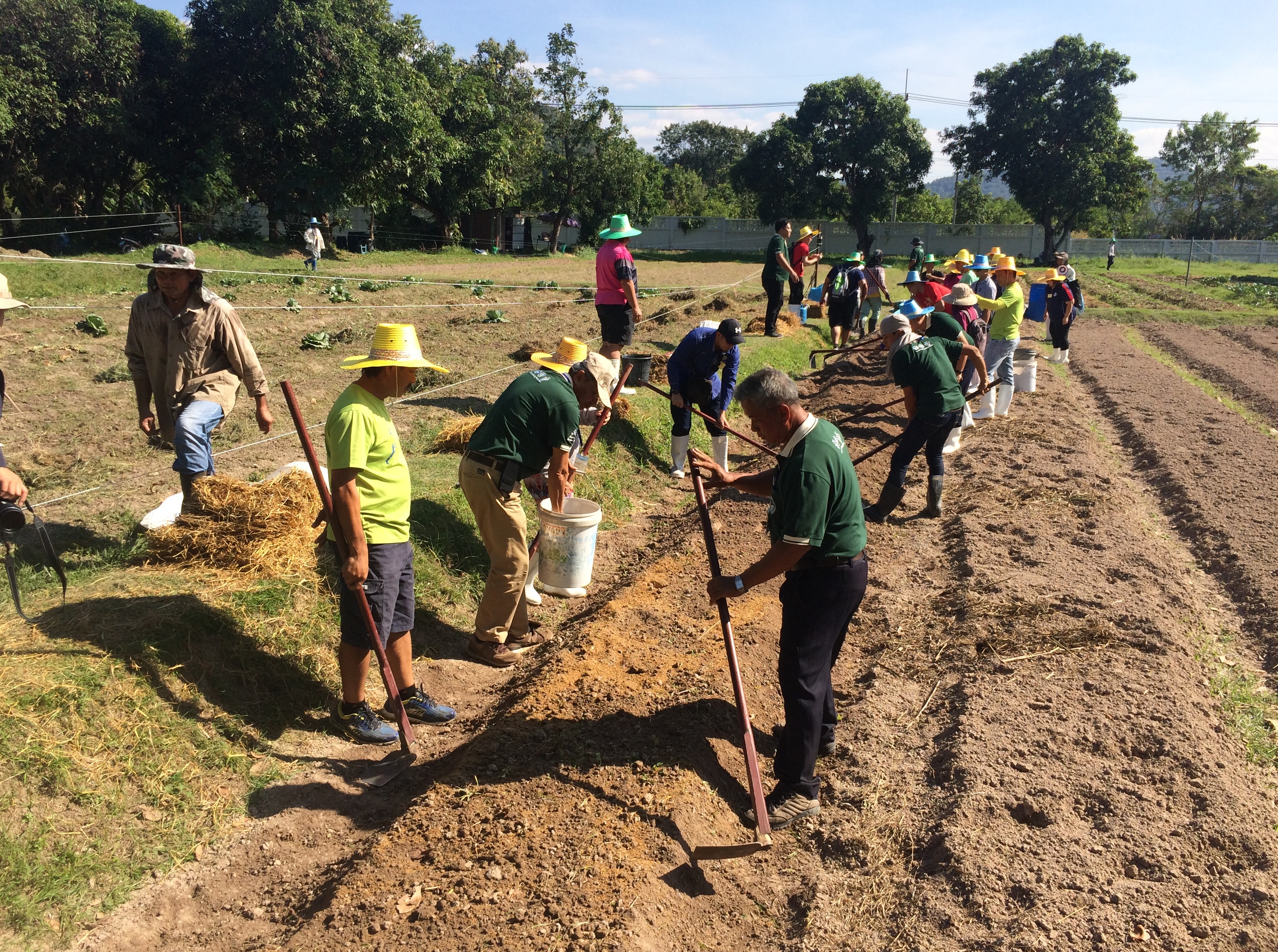 Preparing the soil at Saraburi Center