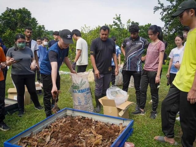 Preparing the soil with EM for gardening