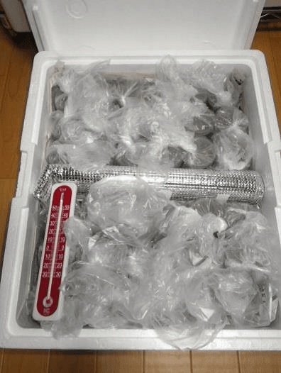 (2)Containers wrapped with plastic bags in a foamed polystyrene container kept at room temperature