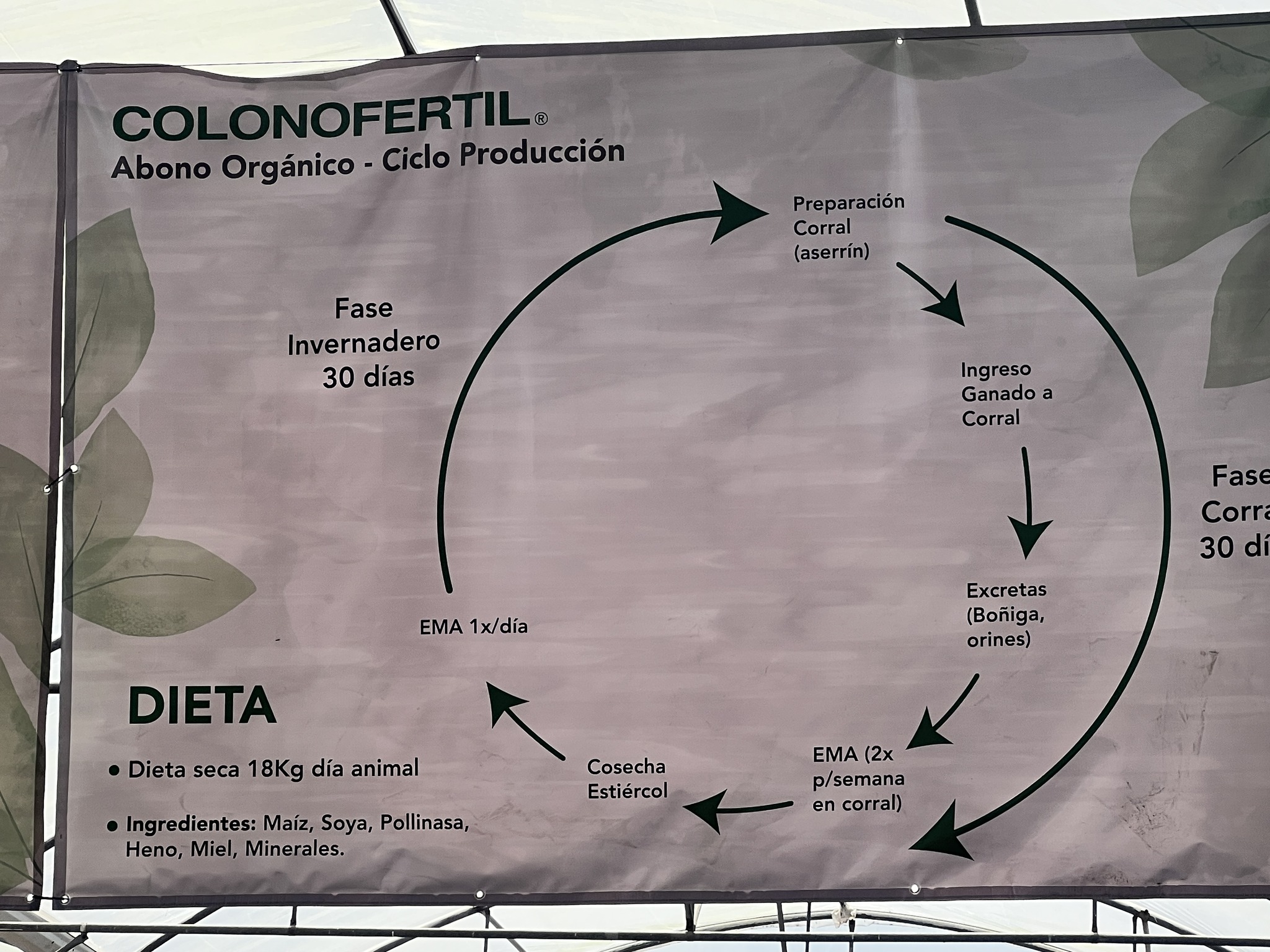 Composting Cycle Process