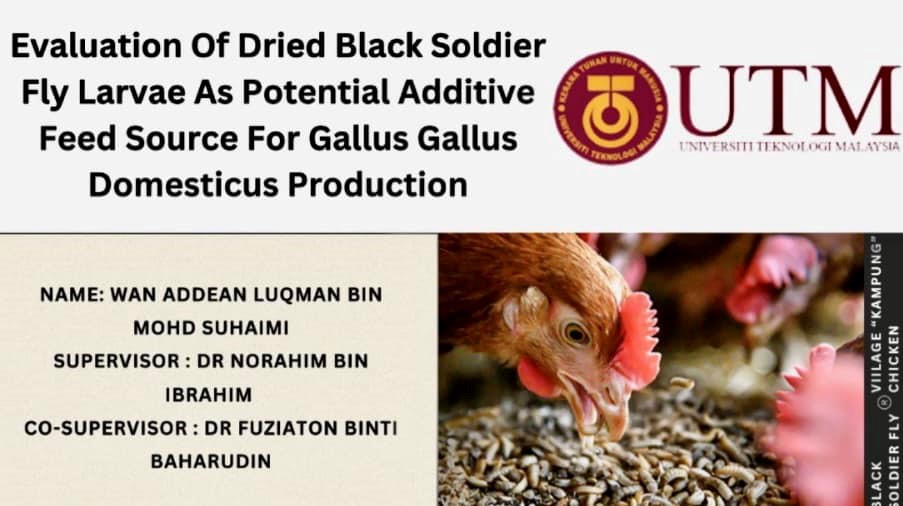 A research project on feed and broiler production using EM・1. 