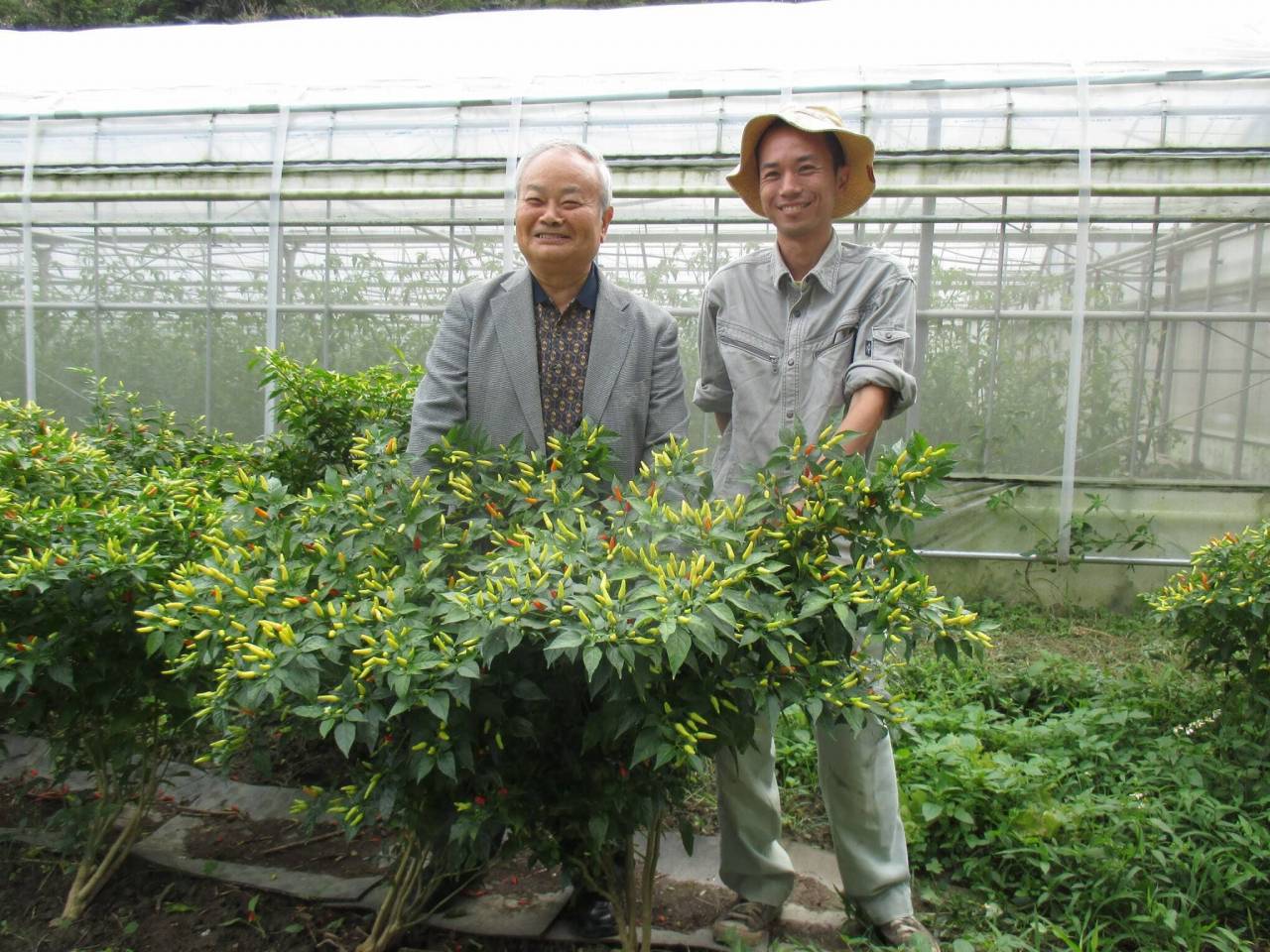 Prof. Higa and the manager of the farm