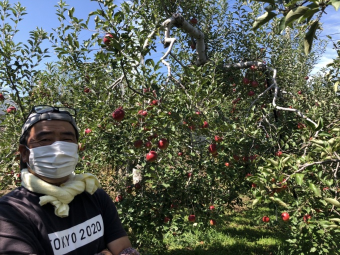 EM agriculture helped an apple orchard recover quickly from flood damage. |  Case Studies |EMRO