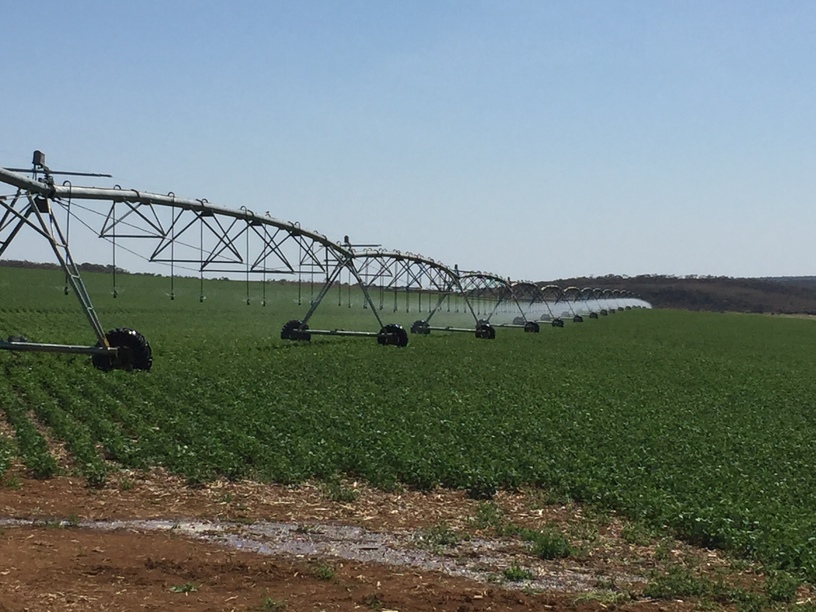 (Photo 1)
Pivot farming irrigation system