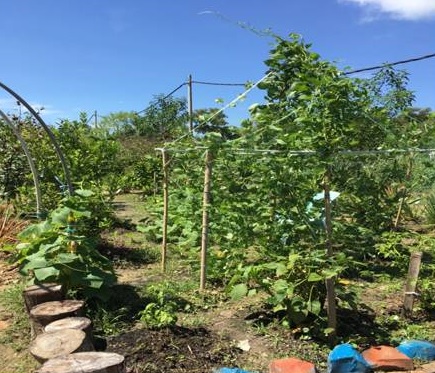 Best Sustainable Awarded school garden