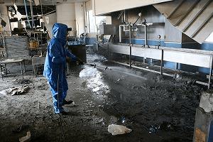 After the tsunami in Kesennuma city and  Mr. Ashikaga spraying Activated Em・1 ®in the fish processing factory