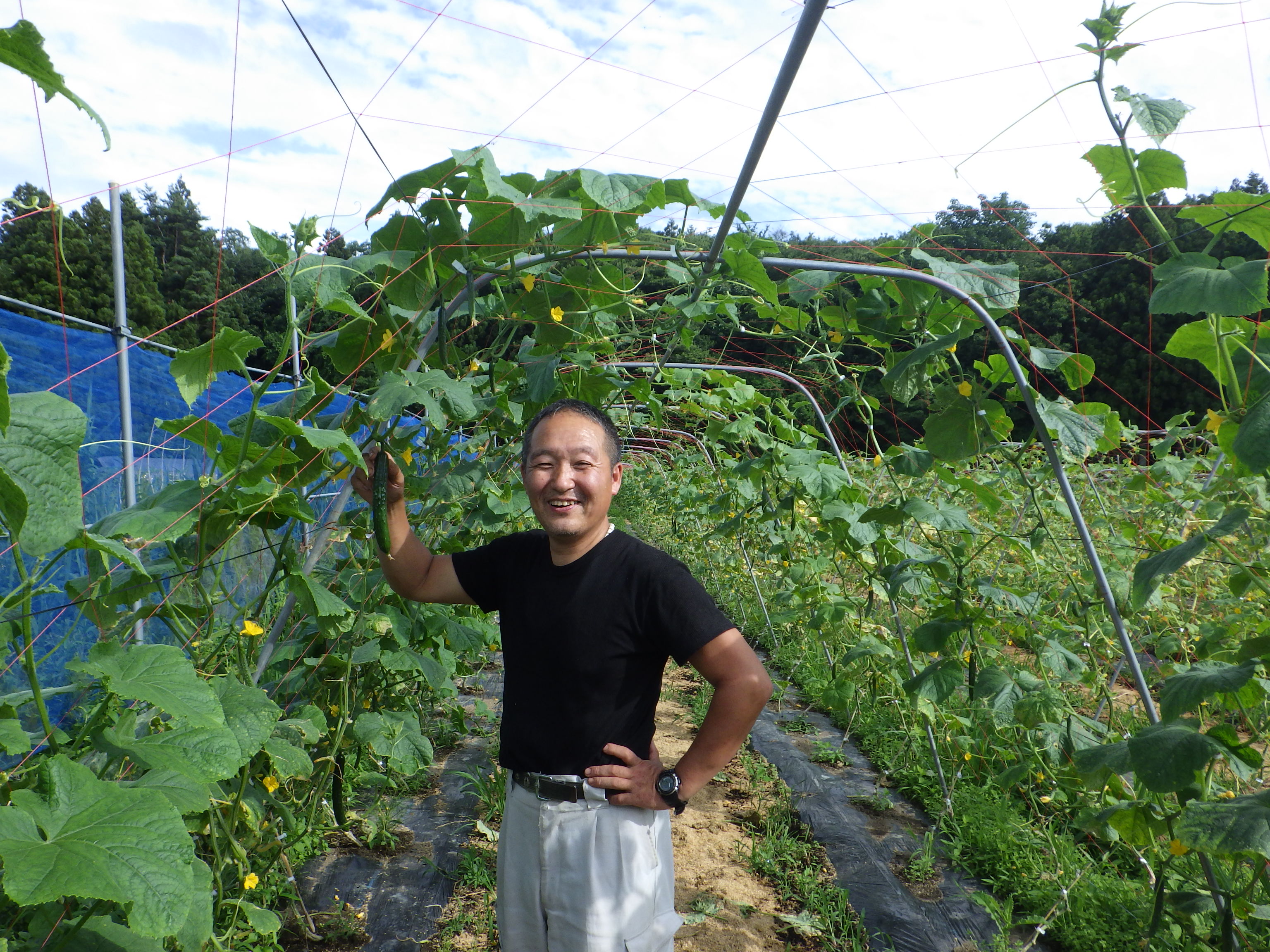 A Cucumber Farm Quickly Recovered After the Nuclear Plant Accident in Fukushima