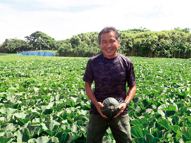 Higher Yield in Organic Cacao Farming