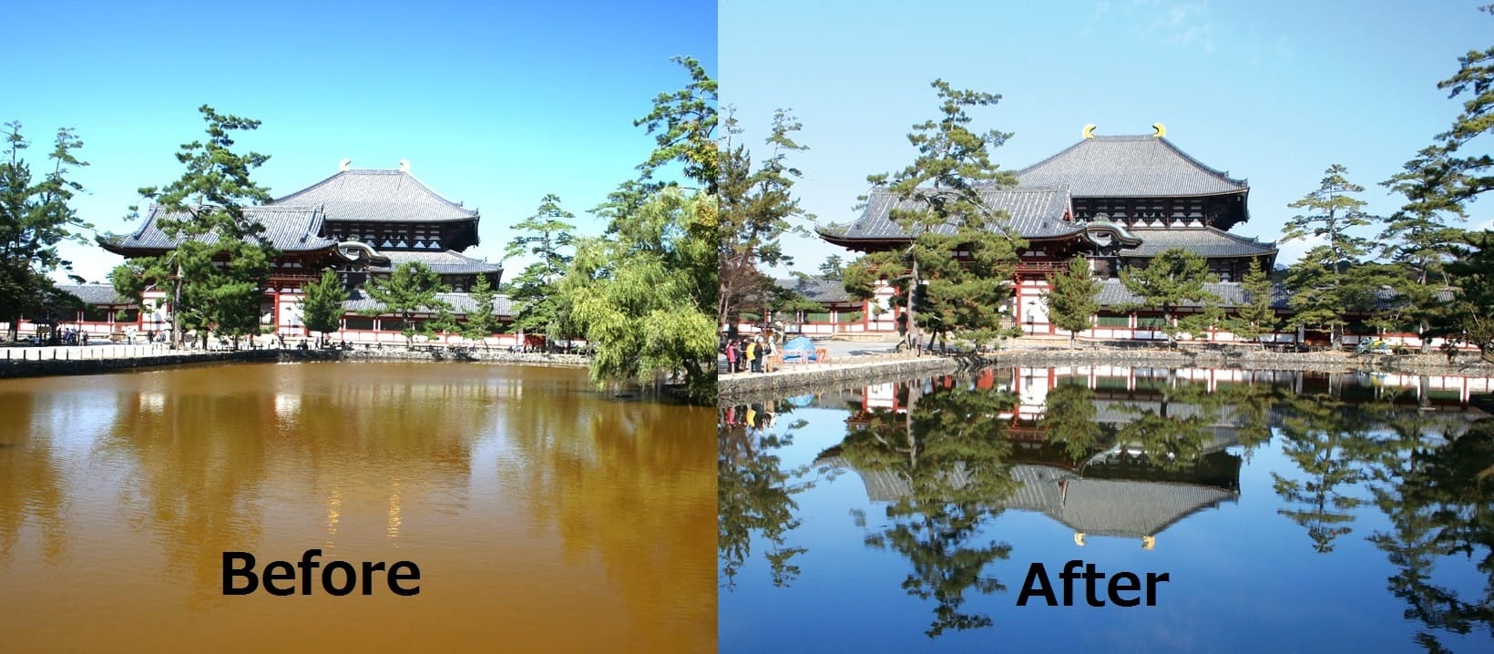 World Cultural Heritage Temple Pond Became Clean