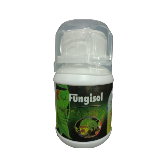 Fungisol