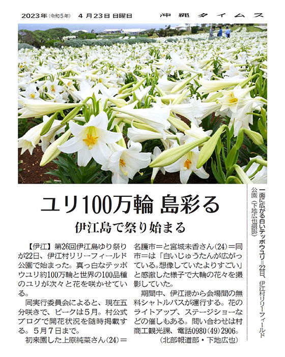 ​​​​​​​White easter Lilies spreading all over the village on March 22 at Lily Field Park in Ie Village (Photo by Hiroya Shimoji)