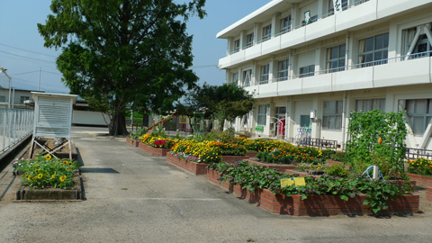 Unzen Municipal Hijikuro Elementary School has been “EM-ized”