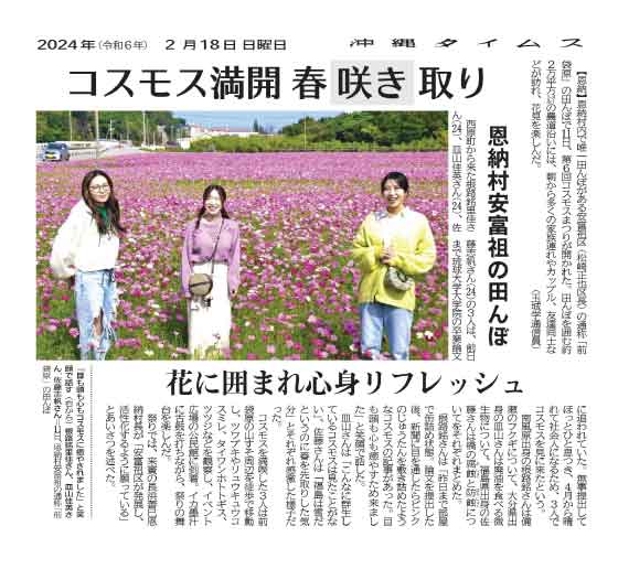 Photo: Rika Nejime, Yoshie Sarayama, and Shiho Sato (from the right) smiling and remarking on how the beautiful cosmos field provided a wonderful stress relief for their eyes, heads, and hearts. Taken at a rice field commonly known as Maebukurohara in Afuso, Onna Village on November 11th.