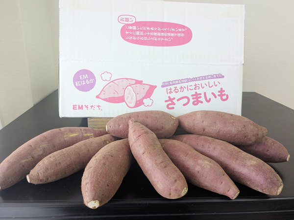 I received these large, beautiful sweet potatoes.