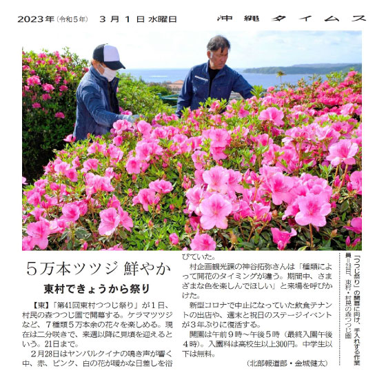 Workers taking care of the azaleas in preparation for the opening of the “Azalea Festival” 
at the Azalea Garden in the Village People's Forest in Higashi Village on February 28th. 