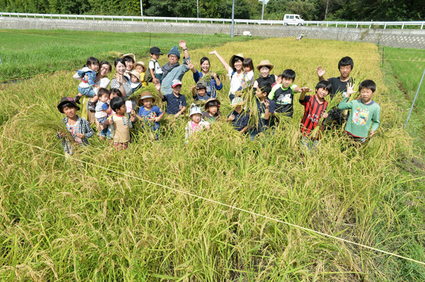 Rice Harvesting Experience at the Shinsen Spark Farm