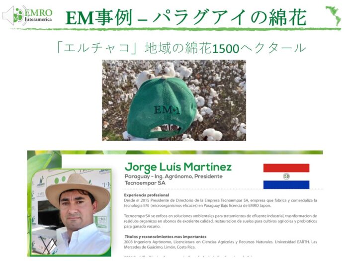 EM Case Study: Cotton cultivation in Paraguay
1500 hectares of cotton in the El Chaco region