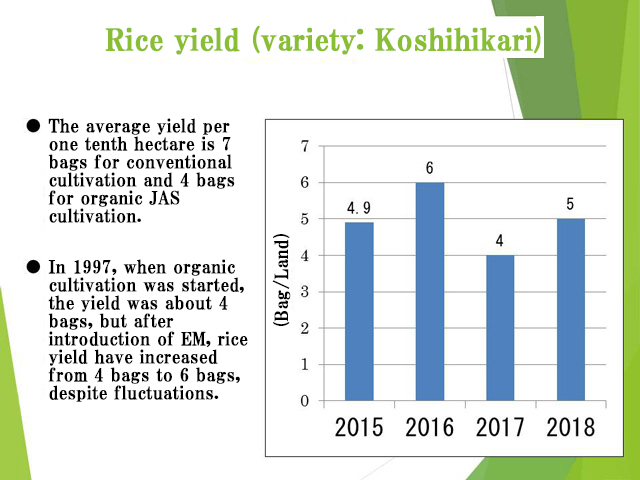 Fig. 3 Rice yield of organic JAS rice grown by Mr. Haneda (results presented at the Environmental Forum in October, 2019)