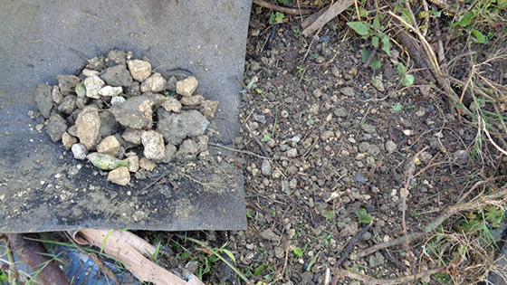Left: Stones from the hole
Right: Permanent planting mass method with soil returned. It is possible to plant even in such a stony soil.
