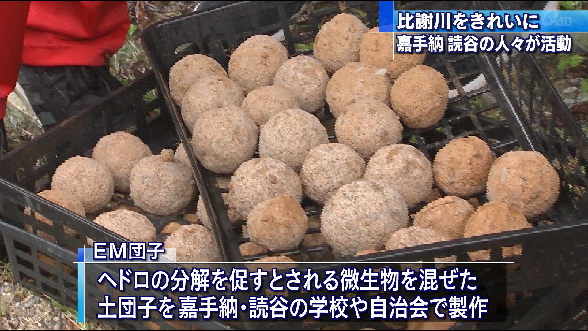 EM Mudball Event to purify a local river in Okinawa